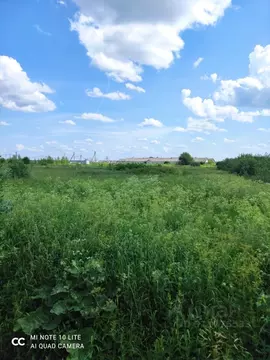 Участок в Ленинградская область, Тосненский район, Любанское городское ...