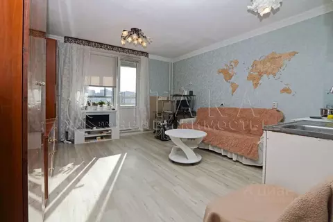 Студия Санкт-Петербург ул. Оптиков, 45к1 (25.6 м)