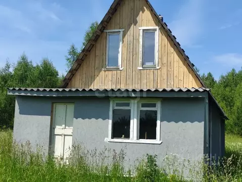 Дом в Псковская область, Печорский муниципальный округ, д. Вишняково  ...