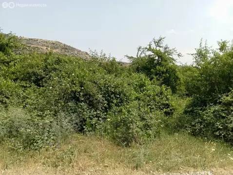 Участок в Старый Крым, улица Гаспринского, 72 (6 м)