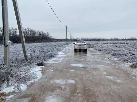 Участок в Ростовская область, Мясниковский район, Краснокрымское ...