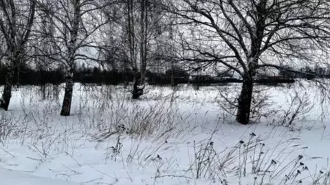 Участок в Московская область, Коломна городской округ, с. Никульское  ...