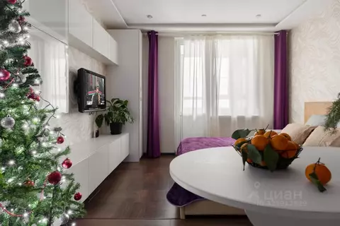 Студия Санкт-Петербург просп. Энергетиков, 11к5 (30.0 м)