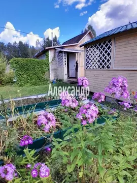 Дом в Ленинградская область, Выборгский район, Гончаровское с/пос, ...