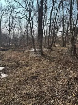 Участок в Приморский край, Владивостокский городской округ, пос. ...