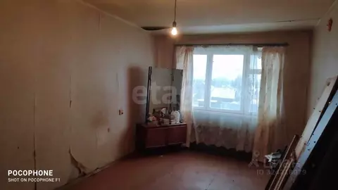 2-к кв. Ленинградская область, Лужский район, пос. Торковичи ул. 1-я ...