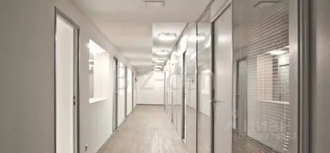 Офис в Санкт-Петербург ул. Чапаева, 3 (39 м)