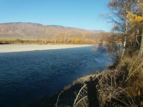 Участок в Алтай, Усть-Коксинский район, пос. Замульта  (204.72 сот.)