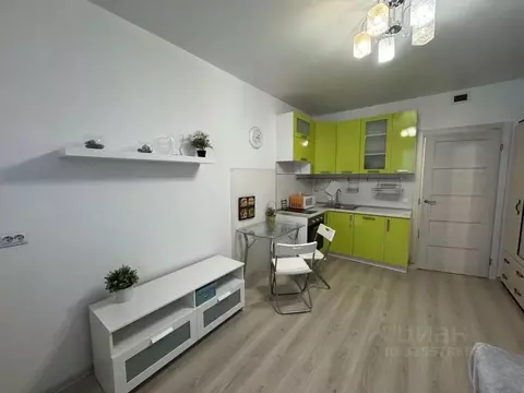 Студия Санкт-Петербург Парашютная ул., 42к2 (21.6 м)