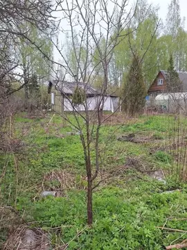 Участок в Ленинградская область, Гатчинский муниципальный округ, ...