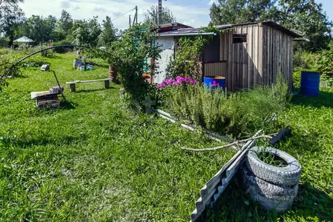Дом в Вологодская область, д. Цыпоглазово  (12 м)