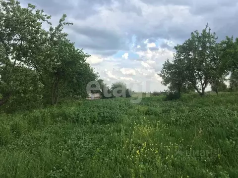 Участок в Брянская область, Брянский район, Мичуринское с/пос, ...