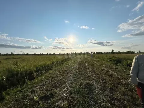 Участок в Тульская область, Заокский район, Демидовское с/пос, д. ...
