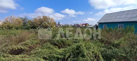 Участок в Омская область, Любинский рп ул. Южная, 49 (6.0 сот.)