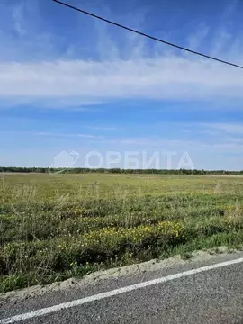 Участок в Тюменская область, Тюменский муниципальный округ, д. Елань ...