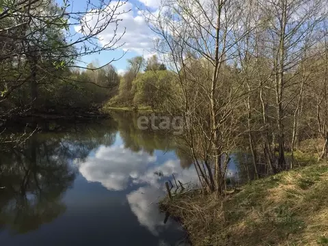 Участок в Калужская область, Тарусский муниципальный округ, Петрищево ...
