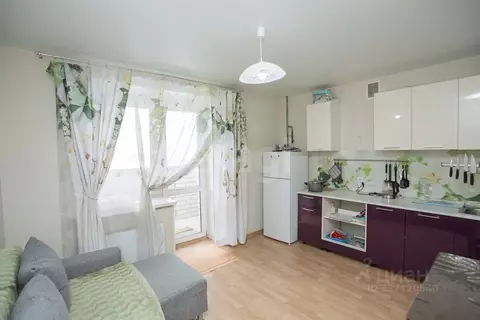 1-к кв. Нижегородская область, Бор ул. Луначарского, 214 (39.9 м)