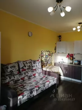 Студия Санкт-Петербург ул. Плесецкая, 16 (25.0 м)