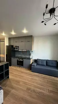 Студия Новосибирская область, Новосибирск ул. Прибрежная, 6 (29.0 м)