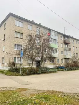 1-к кв. Московская область, Рошаль ул. Мира, 9 (31.0 м)