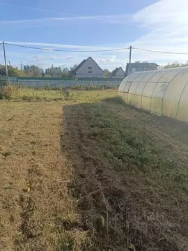 Участок в Ленинградская область, Кингисеппский район, Большелуцкое ...