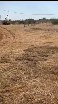 Участок в Крым, Сакский район, с. Орехово  (12.0 сот.)