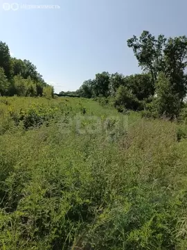 Участок в Амурская область, городской округ Благовещенск, посёлок ...