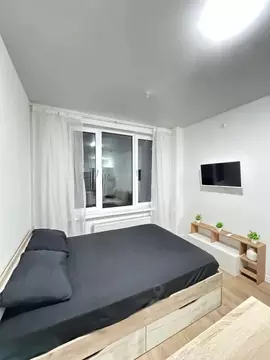 Студия Москва Пятницкое ш., 56Б (24.0 м)