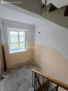 1-комнатная квартира: Нижний Новгород, Путейская улица, 30 (35 м)