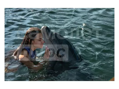 Участок в Крым, Евпатория  (3.0 сот.)