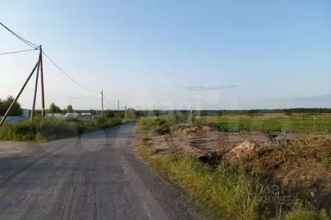 Участок в Вологодская область, Череповецкий район, Ирдоматское с/пос  ...