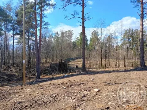 Участок в Ленинградская область, Приозерский район, пос. Мичуринское ...