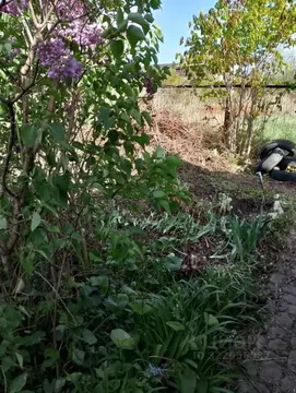 Участок в Саратовская область, Строитель-3 СНТ 74 (5.49 сот.)