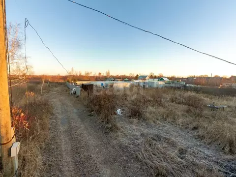 Участок в Тюменская область, Тюмень Садовое товарищество Липовый ...