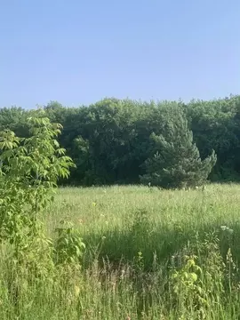 Участок в Новосибирская область, Бердск ул. Германа Титова (20.0 сот.)