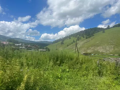 Участок в Алтай, Чемальский район, с. Бешпельтир  (10.75 сот.)