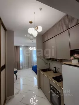 Студия Москва Березовая аллея, 19к2 (25.3 м)