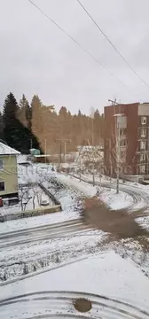 2-к кв. Ленинградская область, Подпорожский район, Никольское ...