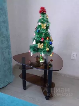 1-к кв. Башкортостан, Уфа Новороссийская ул., 1/1 (34.0 м)