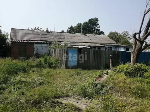 3-к кв. Белгородская область, Корочанский район, Соколовское с/пос, ...