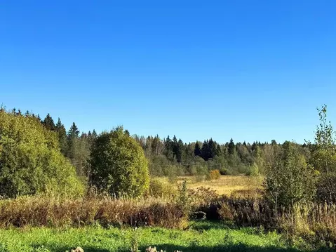 Участок в Московская область, Дмитровский муниципальный округ, Ерыково ...