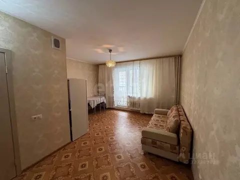 Студия Тюменская область, Тюмень ул. Новоселов, 111 (24.0 м)