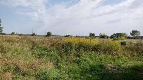 Участок в Московская область, Егорьевск муниципальный округ, д. ...