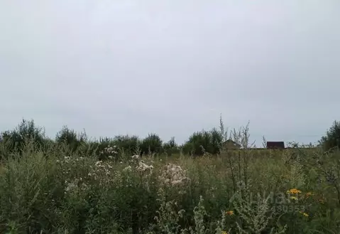 Участок в Московская область, Дмитровский муниципальный округ, с. ...