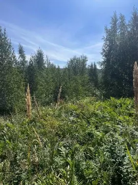 Участок в Иркутская область, Иркутский муниципальный округ, с. ...