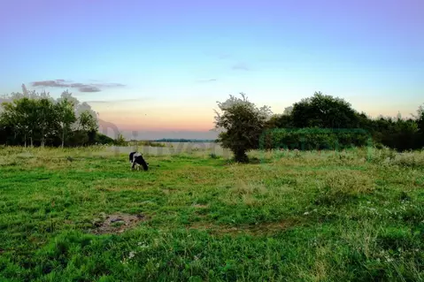Участок в Калининградская область, Багратионовский муниципальный ...