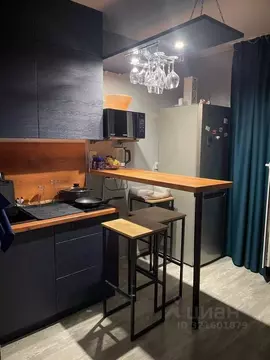 Студия Свердловская область, Екатеринбург ул. Ракетная, 17 (26.02 м)