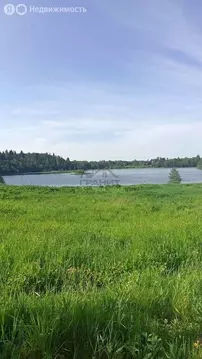 Участок в Новгородская область, Крестецкий муниципальный округ, ...