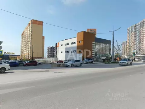 Помещение свободного назначения в Краснодарский край, Новороссийск ул. ...