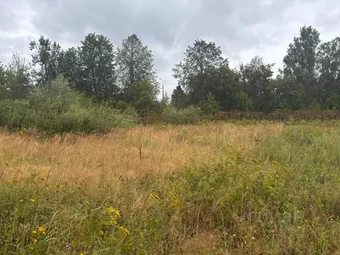 Участок в Московская область, Клин городской округ, с. Борщево  (5.68 ...